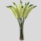 Set of 3 Green Foxtail Silk Sprays - 47" Lifelike Artificial Foliage for Floral Arrangements, Centerpieces, & Home Décor, Floral Home by Artificial Flowers